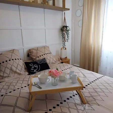 Au Nid D'or : Confort Hyper Centre Apartamento Béthune