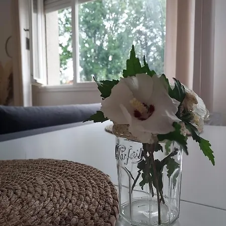 Au Nid D'or : Confort Hyper Centre Apartamento *