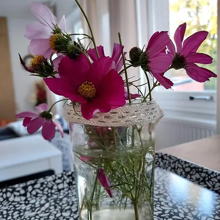 Au Nid D'or : Confort Hyper Centre Apartamento Béthune