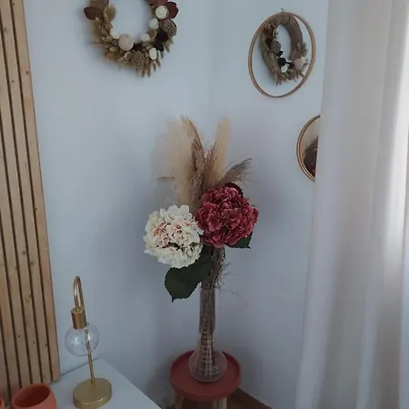 Apartamento Au Nid D'or : Confort Hyper Centre *