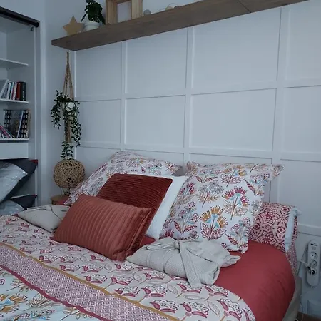 Au Nid D'or : Confort Hyper Centre Apartamento *