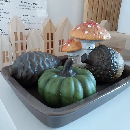 Au Nid D'or : Confort Hyper Centre Béthune