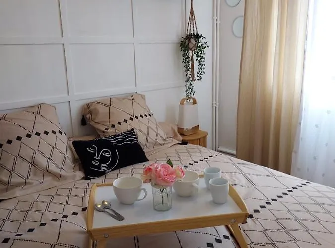 Au Nid D'or : Confort Hyper Centre Appartement Béthune